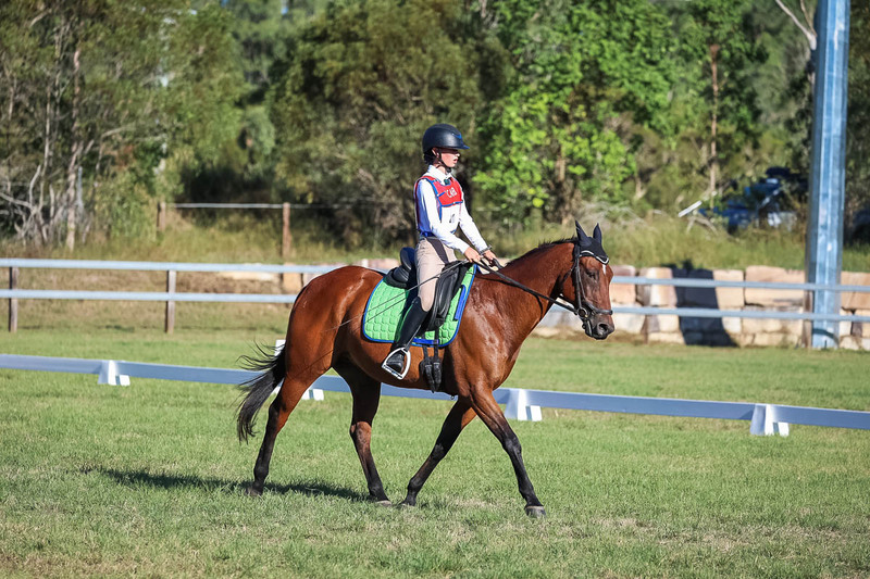 JPC Feb 2026 Dressage-7447.jpg