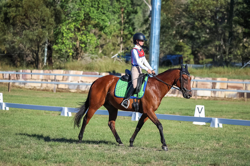 JPC Feb 2026 Dressage-7448.jpg
