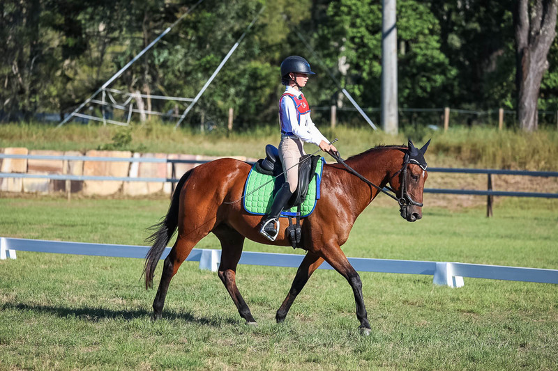 JPC Feb 2026 Dressage-7449.jpg