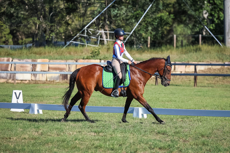 JPC Feb 2026 Dressage-7450.jpg
