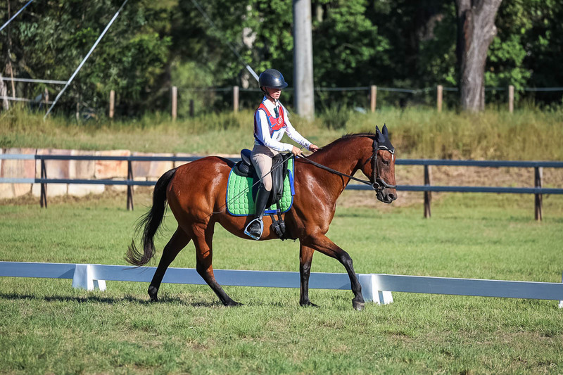 JPC Feb 2026 Dressage-7451.jpg