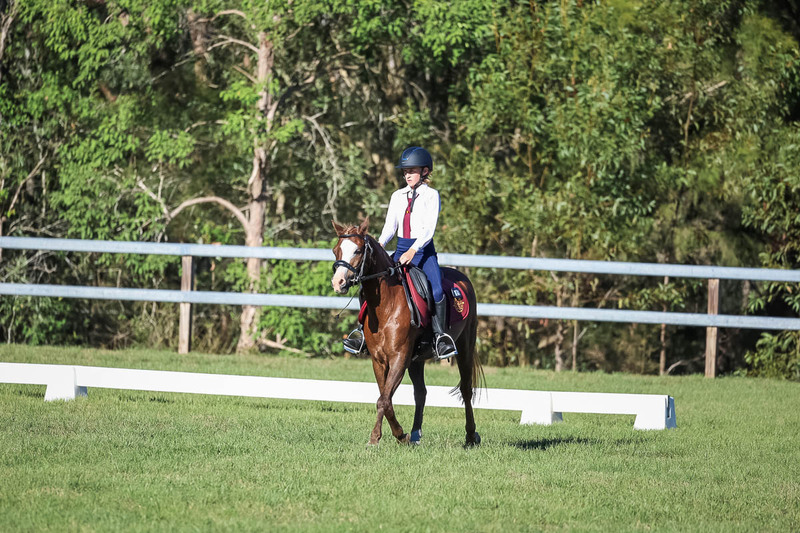 JPC Feb 2026 Dressage-7452.jpg