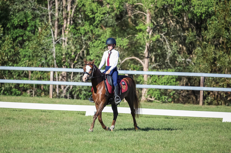 JPC Feb 2026 Dressage-7453.jpg