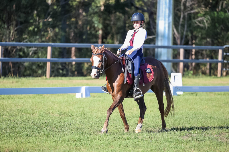 JPC Feb 2026 Dressage-7456.jpg