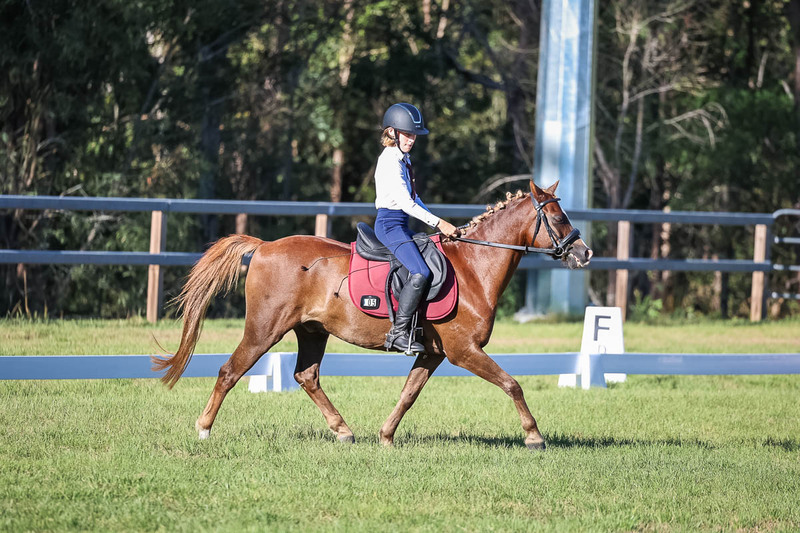 JPC Feb 2026 Dressage-7458.jpg
