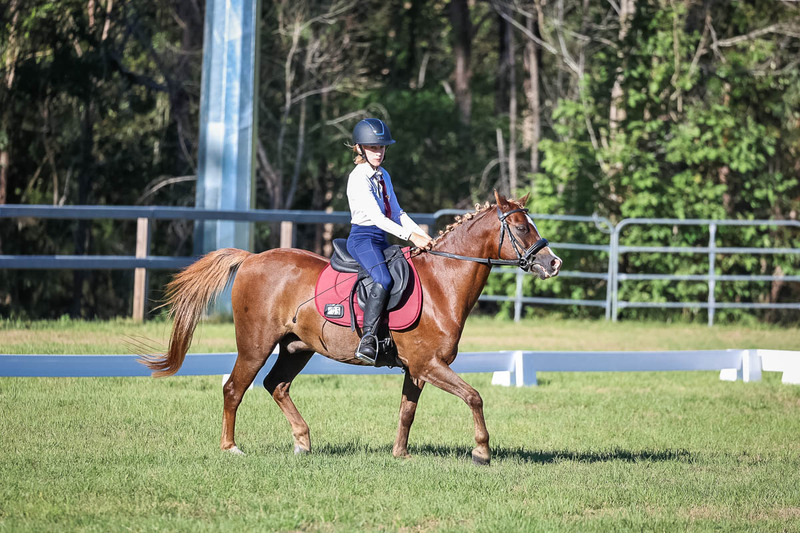 JPC Feb 2026 Dressage-7459.jpg