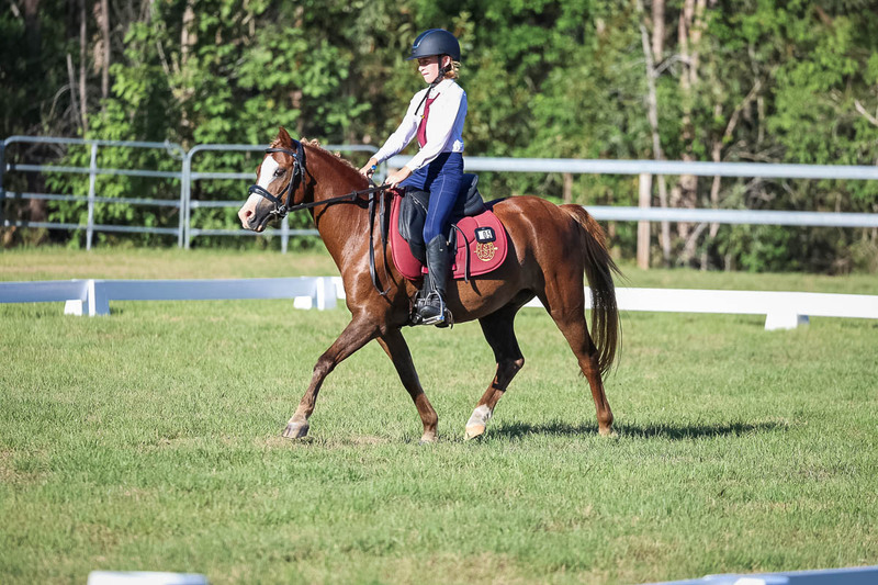JPC Feb 2026 Dressage-7463.jpg