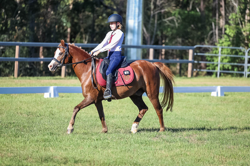 JPC Feb 2026 Dressage-7465.jpg