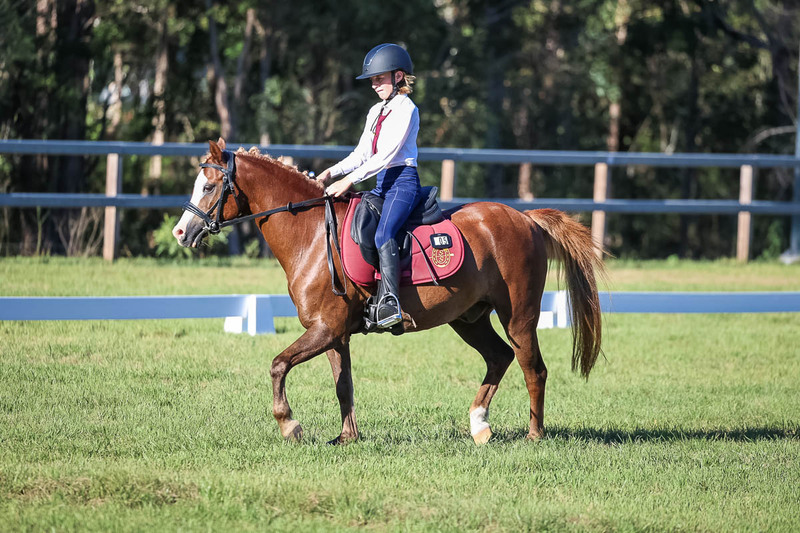 JPC Feb 2026 Dressage-7466.jpg