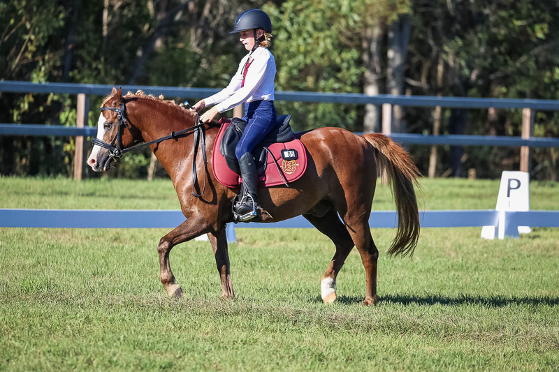 JPC Feb 2026 Dressage-7467.jpg