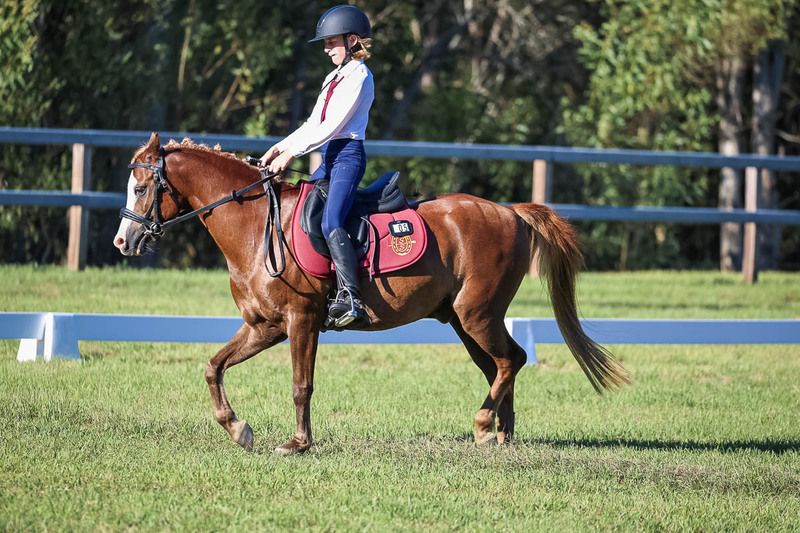 JPC Feb 2026 Dressage-7468.jpg