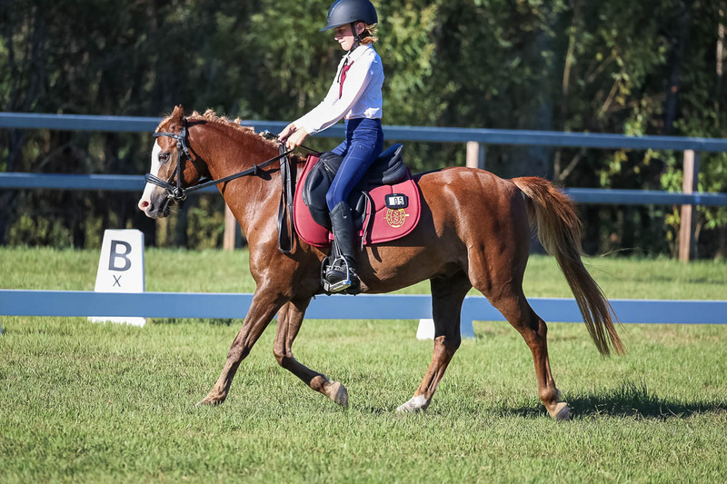 JPC Feb 2026 Dressage-7470.jpg