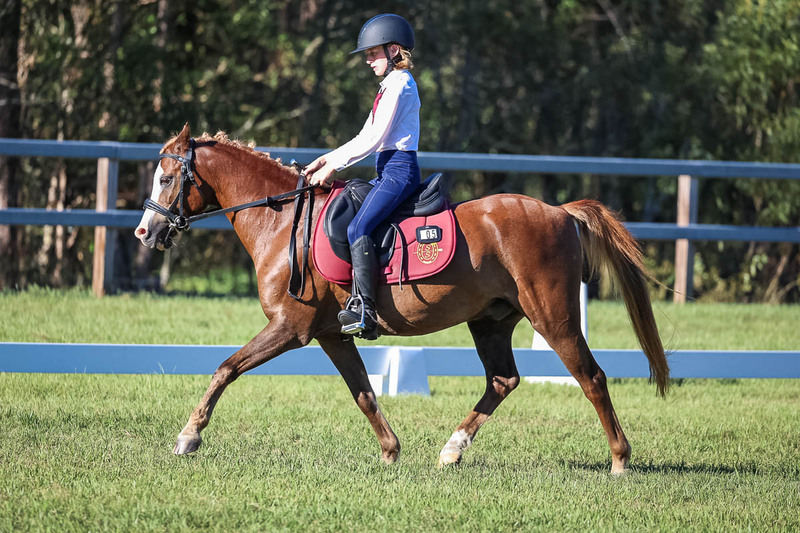 JPC Feb 2026 Dressage-7472.jpg