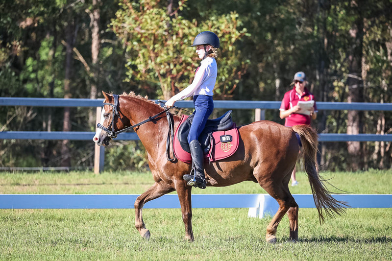 JPC Feb 2026 Dressage-7473.jpg
