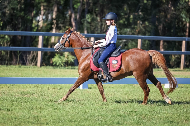 JPC Feb 2026 Dressage-7475.jpg