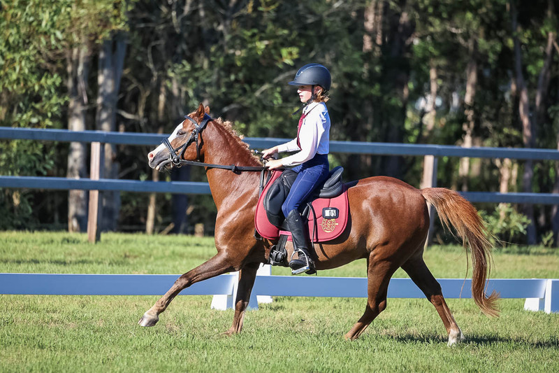 JPC Feb 2026 Dressage-7476.jpg