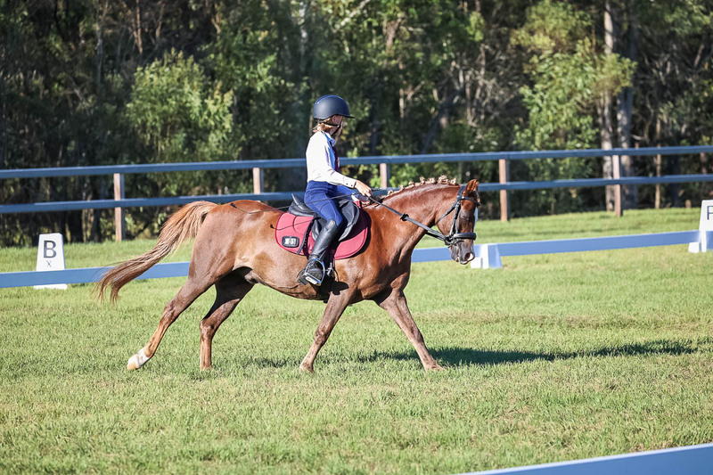JPC Feb 2026 Dressage-7477.jpg