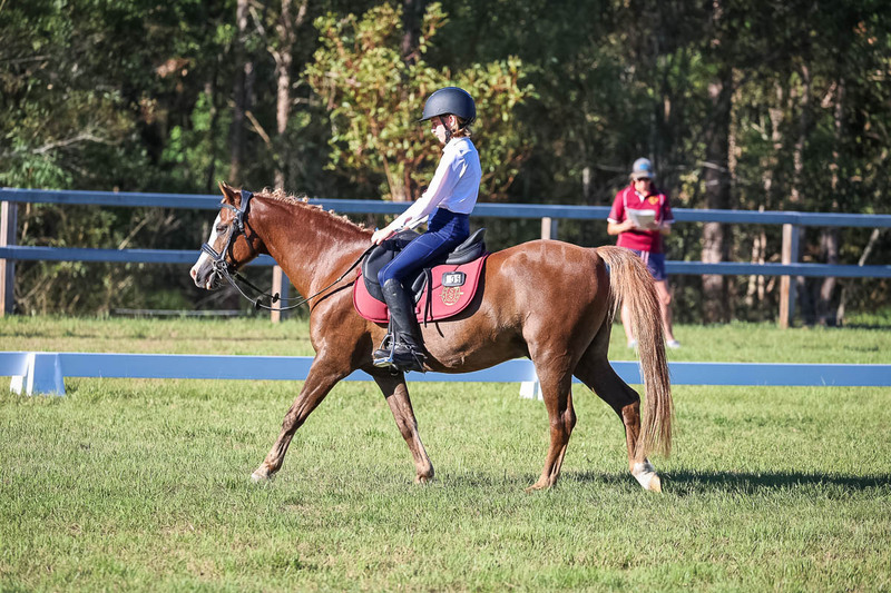 JPC Feb 2026 Dressage-7479.jpg