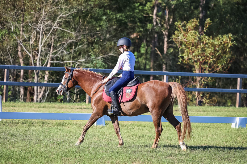 JPC Feb 2026 Dressage-7480.jpg