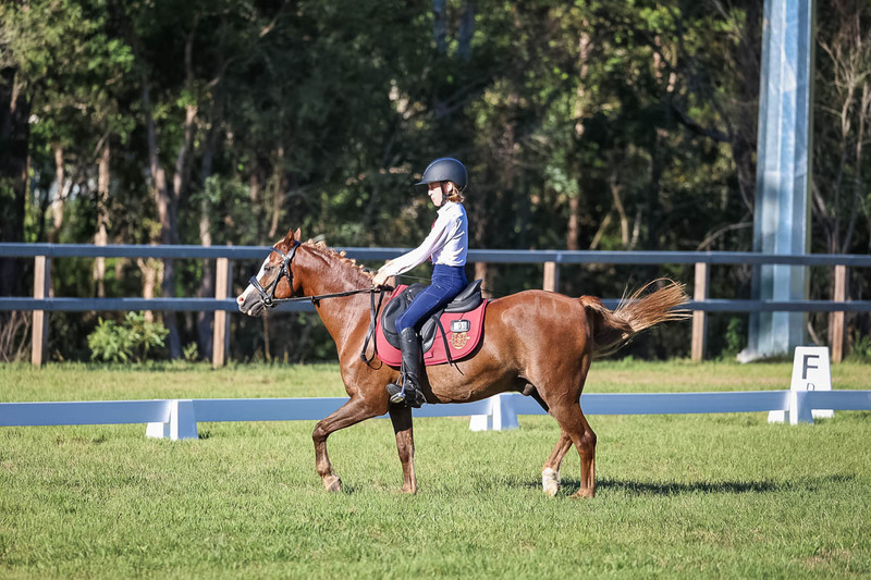 JPC Feb 2026 Dressage-7481.jpg
