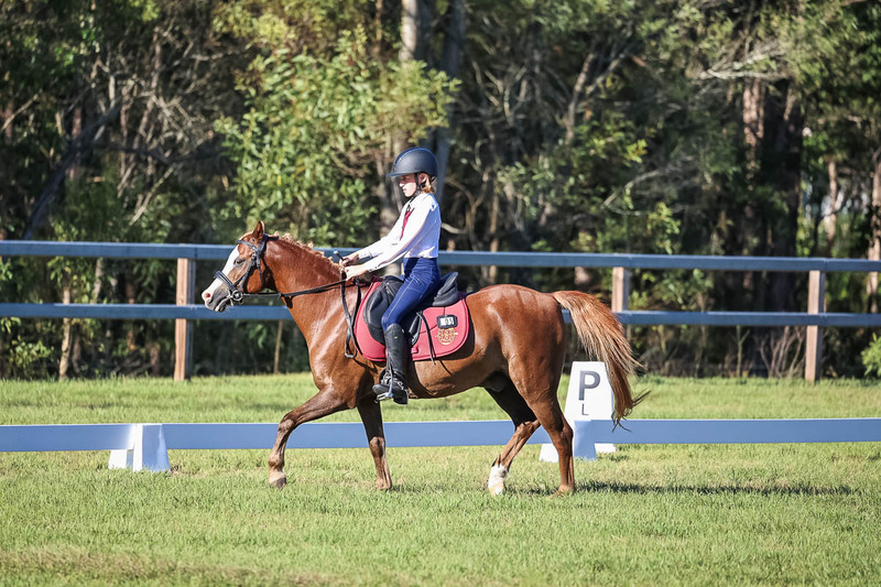 JPC Feb 2026 Dressage-7482.jpg