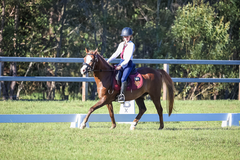 JPC Feb 2026 Dressage-7484.jpg