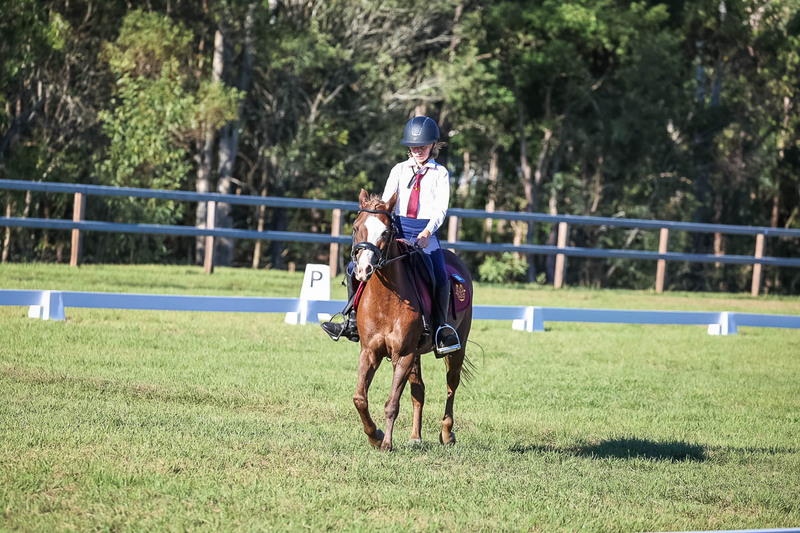 JPC Feb 2026 Dressage-7485.jpg