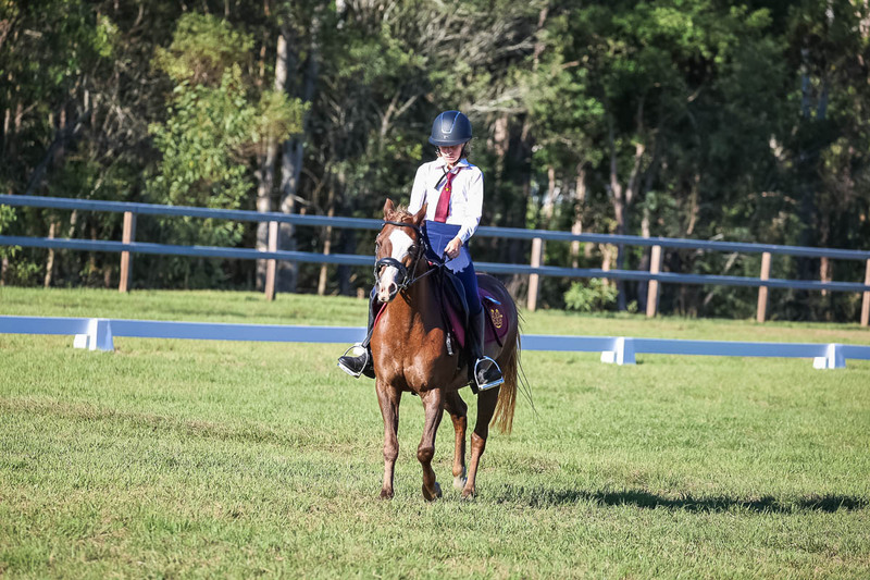 JPC Feb 2026 Dressage-7486.jpg