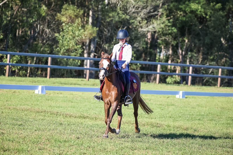 JPC Feb 2026 Dressage-7487.jpg
