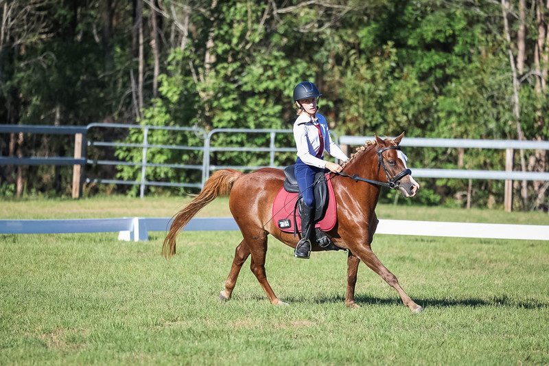 JPC Feb 2026 Dressage-7488.jpg