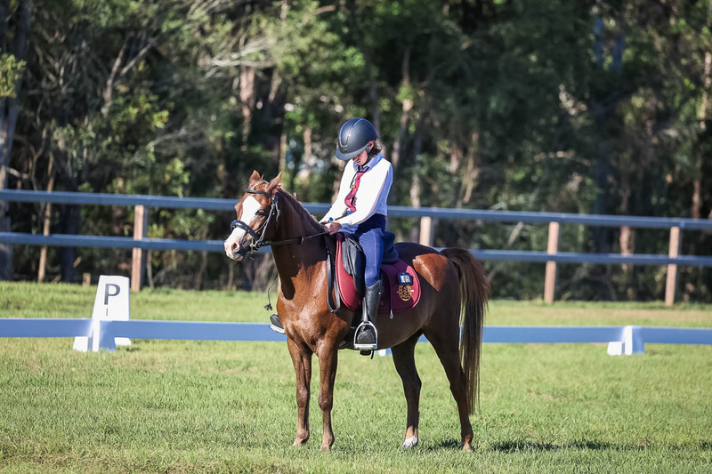 JPC Feb 2026 Dressage-7490.jpg
