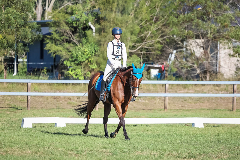 JPC Feb 2026 Dressage-7491.jpg