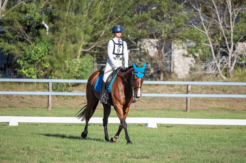 JPC Feb 2026 Dressage-7492.jpg