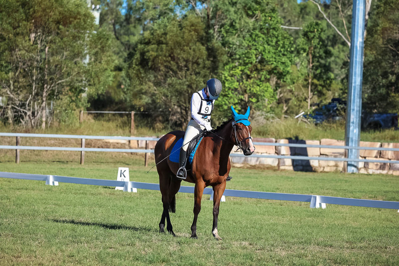 JPC Feb 2026 Dressage-7493.jpg