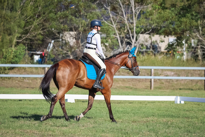JPC Feb 2026 Dressage-7494.jpg