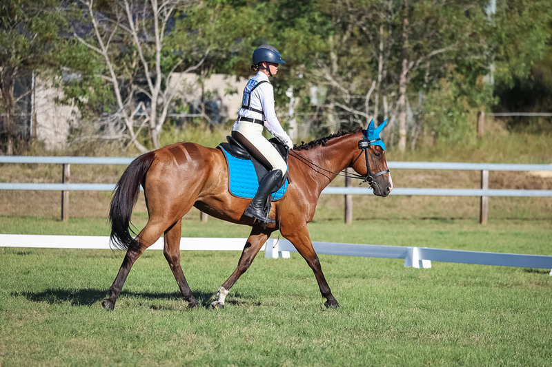 JPC Feb 2026 Dressage-7495.jpg
