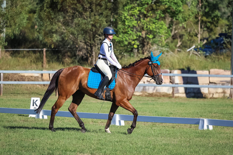 JPC Feb 2026 Dressage-7497.jpg