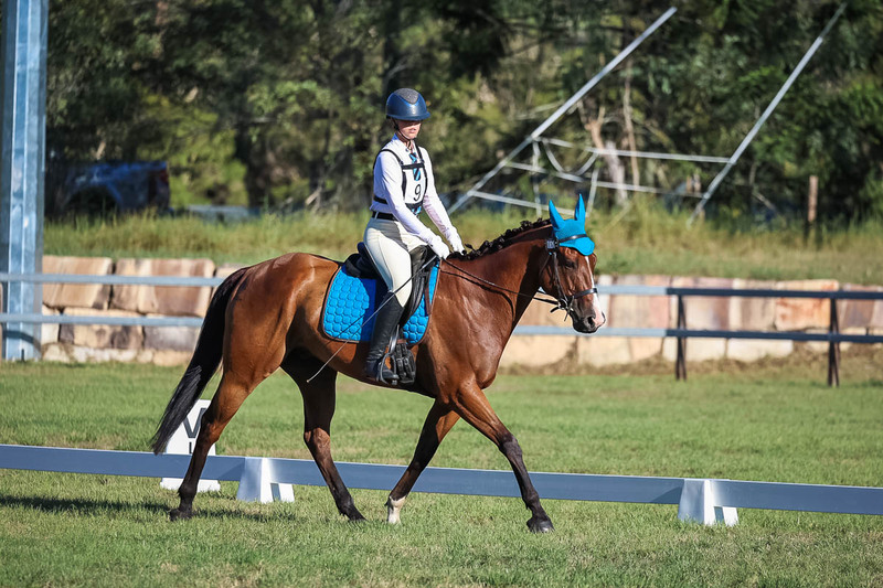 JPC Feb 2026 Dressage-7498.jpg