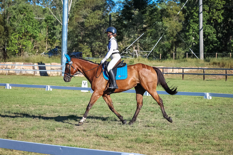 JPC Feb 2026 Dressage-7499.jpg