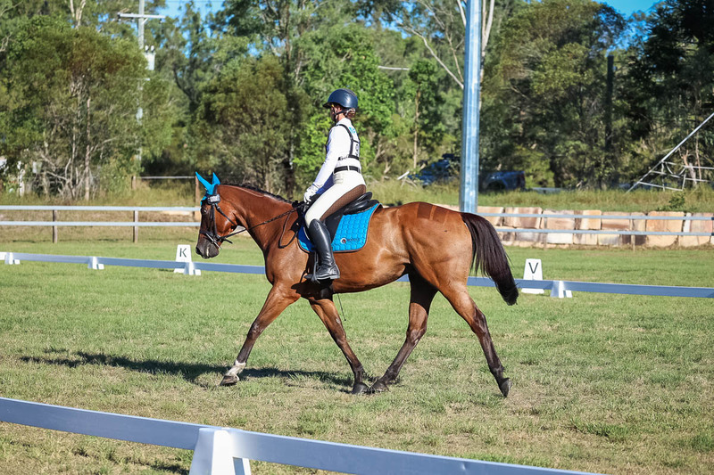 JPC Feb 2026 Dressage-7500.jpg