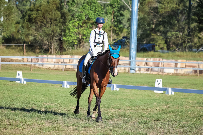JPC Feb 2026 Dressage-7501.jpg