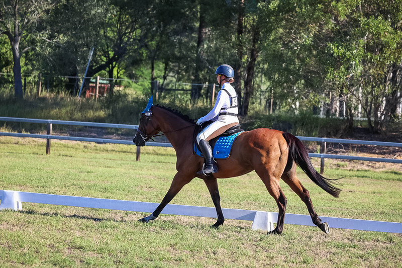 JPC Feb 2026 Dressage-7503.jpg