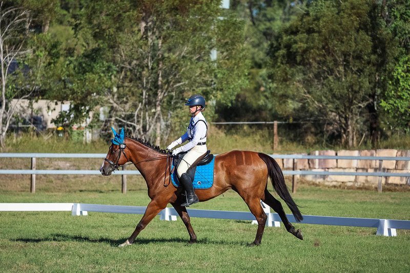 JPC Feb 2026 Dressage-7505.jpg