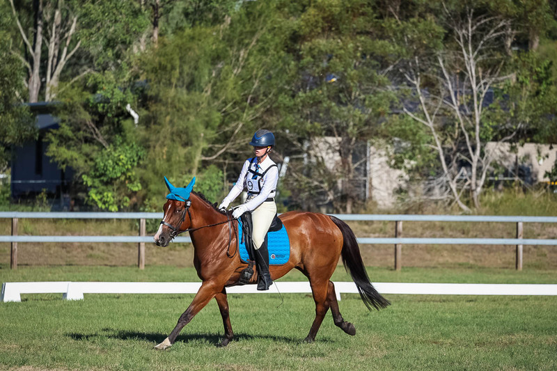 JPC Feb 2026 Dressage-7507.jpg