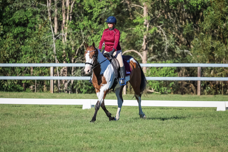 JPC Feb 2026 Dressage-7509.jpg