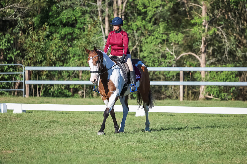 JPC Feb 2026 Dressage-7510.jpg