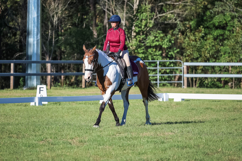 JPC Feb 2026 Dressage-7511.jpg