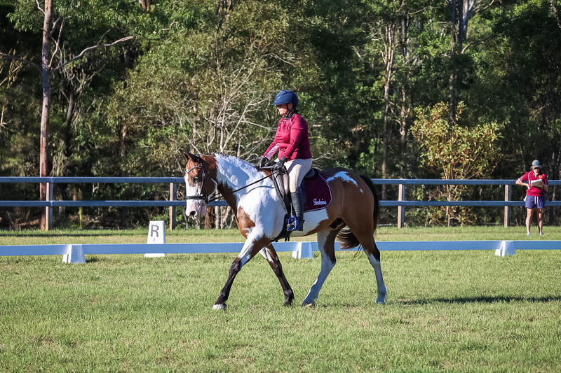 JPC Feb 2026 Dressage-7513.jpg