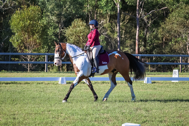 JPC Feb 2026 Dressage-7514.jpg