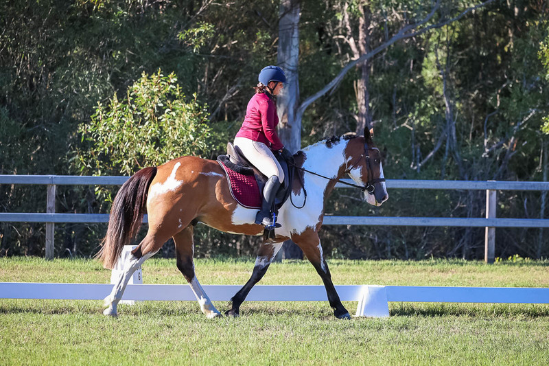 JPC Feb 2026 Dressage-7515.jpg